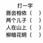 (打一字),揭秘汉字魅力与智慧”