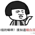 精辟逗比的口头禅,逗比口头禅里的智慧火花