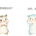 脑婆睡醒啦,从网络红人到粉丝心中的女神